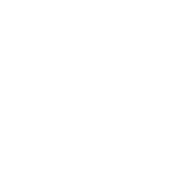Vegan